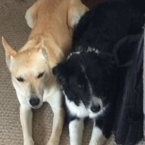 Meet your Posher, Don